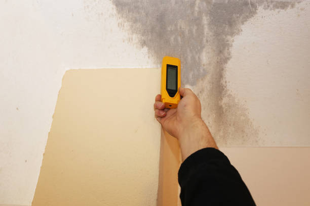 Best HVAC Mold Inspection and Cleaning  in Hometown, PA
