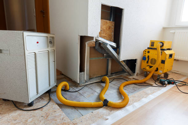 Forensic Mold Investigation in Hometown, PA